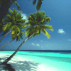 Disfrute de las increibles playas de Bahamas